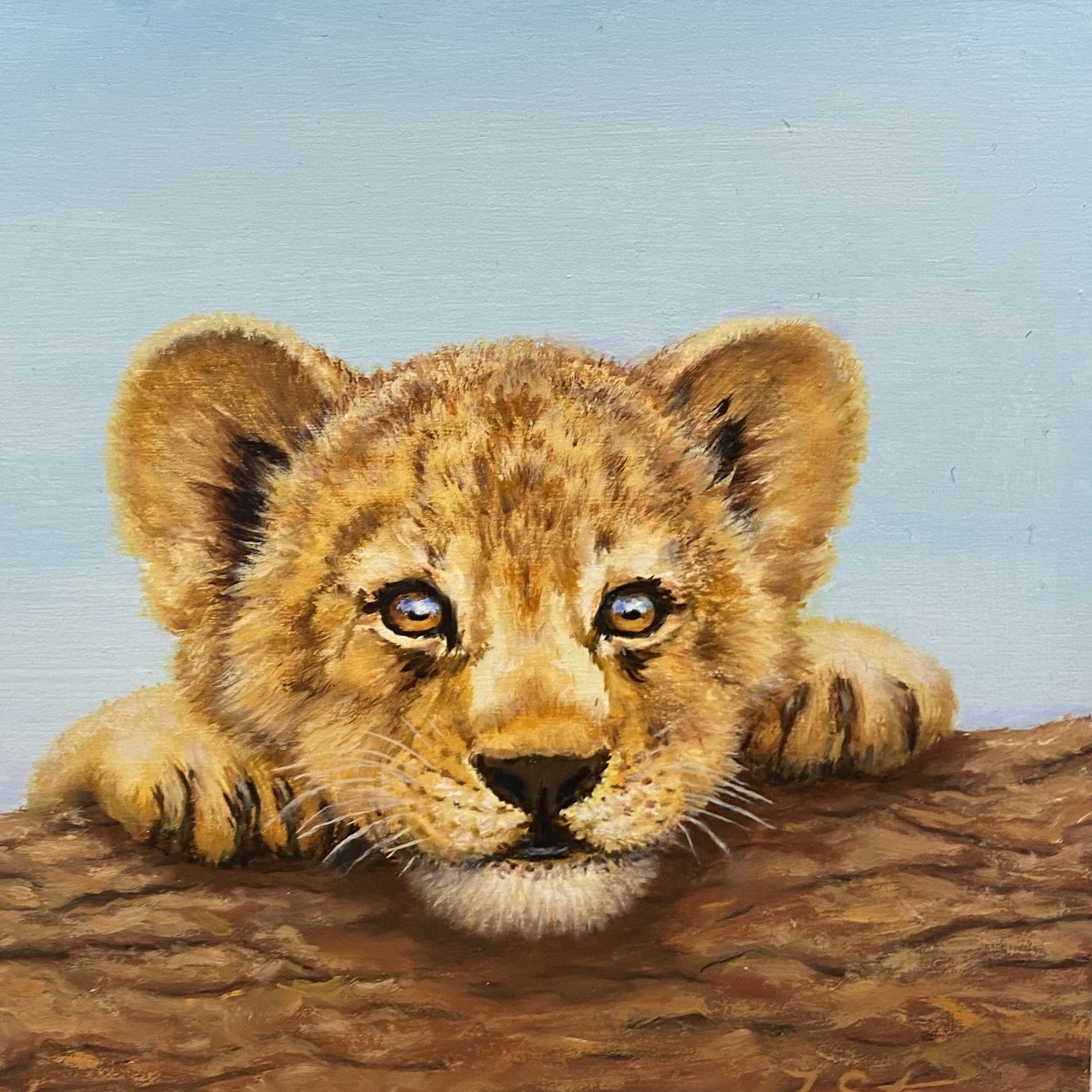 Lion cub | 8x8 To Educate